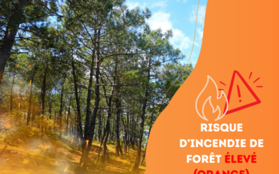 Attention au risque d’incendie élevé dans les bois et forêts !