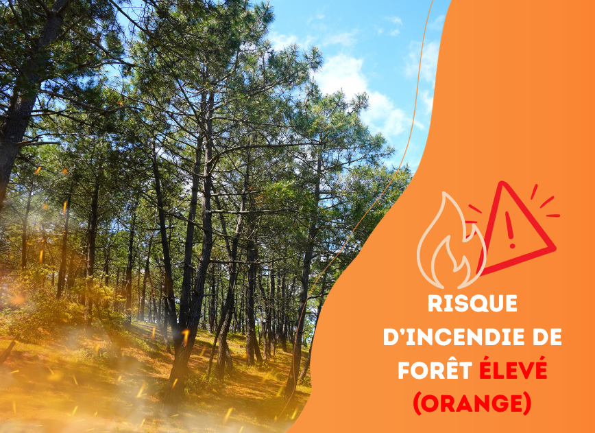 Attention au risque d&rsquo;incendie élevé dans les bois et forêts !